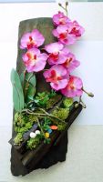 Лот: 10987635. Фото: 2. Композиция Орхидея на срезе натурального... Цветы, букеты