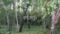 Лот: 25299373. Фото: 2. участок , дачный посёлок Ветеран... Продажа