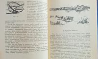 Лот: 25728636. Фото: 6. Михаил Заборский. Советы молодому...