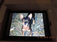 Лот: 6107649. Фото: 5. планшет Samsung galaxy tab 4 SM-T531...