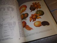 Лот: 16183841. Фото: 7. Мир растений в семи (7-ми) томах...