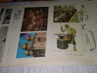 Лот: 14313316. Фото: 4. Альбом по истории культуры СССР... Красноярск