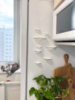 Лот: 25199524. Фото: 3. Декоративные грибы на магнитах. Домашний быт