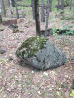 Лот: 7655204. Фото: 5. Природный камень для ландшафта