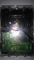 Лот: 7480146. Фото: 3. Жесткий диск WD 3000GB (WD30EZRX-00DC0B0... Компьютеры, оргтехника, канцтовары