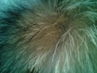 Лот: 11106364. Фото: 2. шапка зимняя из натурального меха... Женская одежда