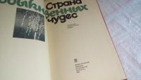 Лот: 8309493. Фото: 2. Страна обыкновенных чудес. Литературно-художественный... Литература, книги