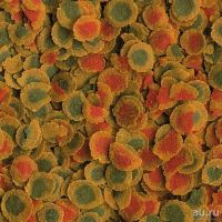 Лот: 17829879. Фото: 5. Корм Tetra Pro Energy и PRO Colour...