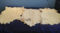 Лот: 1751399. Фото: 3. 3 шкуры овцы выделанные. Красноярск