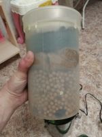 Лот: 19973438. Фото: 3. Eheim 2213. Растения и животные