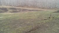 Лот: 9811225. Фото: 3. участок солонцы, ДНТ холмгород... Недвижимость