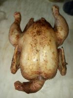 Лот: 16411382. Фото: 4. Бройлер домашний