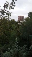 Лот: 16133690. Фото: 10. Сдам 3 комн. Коммунальная