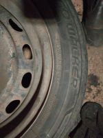 Лот: 15300791. Фото: 2. Toyo Eco Walker 185/65 R14. Шины, Диски