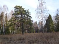 Лот: 5257764. Фото: 4. Земля станция Минино 22 сотки... Красноярск