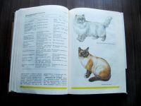Лот: 25630823. Фото: 3. Эдуард Самусенко. Друзья нашего... Литература, книги