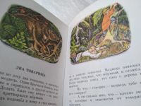 Лот: 19383525. Фото: 9. Толстой Л.Н. Два товарища. Рисунки...