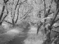 Лот: 9813903. Фото: 4. Инфракрасный ( модифицированный... Красноярск