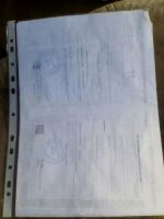 Лот: 9471411. Фото: 2. Яйцо куриное 1 категории, доставка... Продукты
