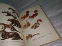 Лот: 12037135. Фото: 6. Oz. Охотничье-промысловые звери...