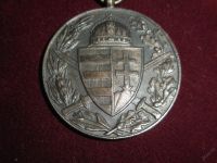 Лот: 5848034. Фото: 5. Медаль с ПМВ, 1 WK, Австро - Венгрия...