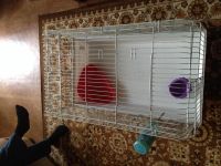 Лот: 3940399. Фото: 2. Клетка для животного 1м•56 см... Животные и уход