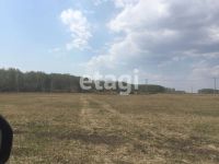 Лот: 25294905. Фото: 2. участок , садовые участки Штаны... Продажа