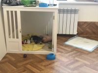 Лот: 12647824. Фото: 5. Клетка. Красивая клетка с поддоном...