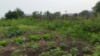 Лот: 14105127. Фото: 4. Участок 9 сот. (СНТ, ДНП). Красноярск