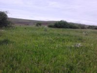 Лот: 5712799. Фото: 6. Участок в Дрокино+ТУ 15кВт.