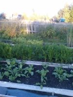 Лот: 3254558. Фото: 7. Продам дачу