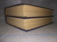 Лот: 25896081. Фото: 4. ок.(40923113А) Костылев В. Иван... Красноярск