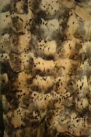 Лот: 1499188. Фото: 2. Шуба из норки. Женская одежда