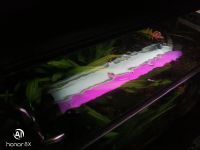 Лот: 21422855. Фото: 2. Люминесцентный светильник для... Аквариумистика
