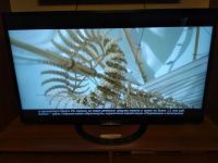 Лот: 10649902. Фото: 2. Продам телевизор LED 3D TV Sony... ТВ и видео