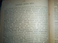 Лот: 23706042. Фото: 14. К.Н.Левин. Последний русский царь...