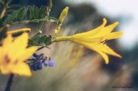 Лот: 10376090. Фото: 7. Sigma 28-200 1:3.5-5.6 Macro compact...