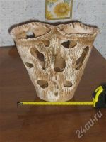 Лот: 264124. Фото: 3. Штучка в аквариум. Растения и животные