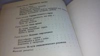 Лот: 8305719. Фото: 4. Время и книги, А.Панков, Круг... Красноярск