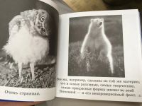 Лот: 11964278. Фото: 3. Бредли Грив "Смысл жизни". Красноярск