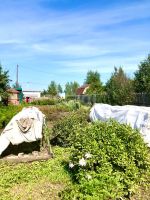 Лот: 25295833. Фото: 12. 1-комн. дача , СНТ Подснежник-Шумково...