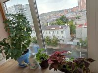 Лот: 25733806. Фото: 19. 2-комн. квартира , Красноярск...