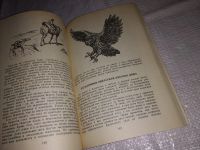 Лот: 11683004. Фото: 17. ок...(1092351) Встречи с животными...