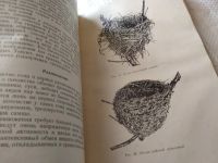 Лот: 18440510. Фото: 10. Доппельмаир Г.Г., Мальчевский...