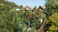 Лот: 2466836. Фото: 9. Земля на р. Базаиха (Бобровый...