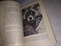 Лот: 16977459. Фото: 6. Евер Й. Звериные тропы и птичьи...