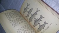Лот: 11145736. Фото: 6. Рыболовный спорт (Настольная книга...