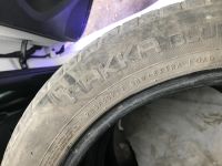Лот: 13436140. Фото: 2. Nokian Hakka blue. Шины, Диски