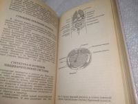 Лот: 25855162. Фото: 5. ок.(5092301) В.И.Филин, А.Д.Толстой...