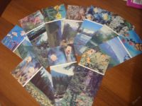 Лот: 5817518. Фото: 3. 3 набора открыток о природе Тундры... Литература, книги